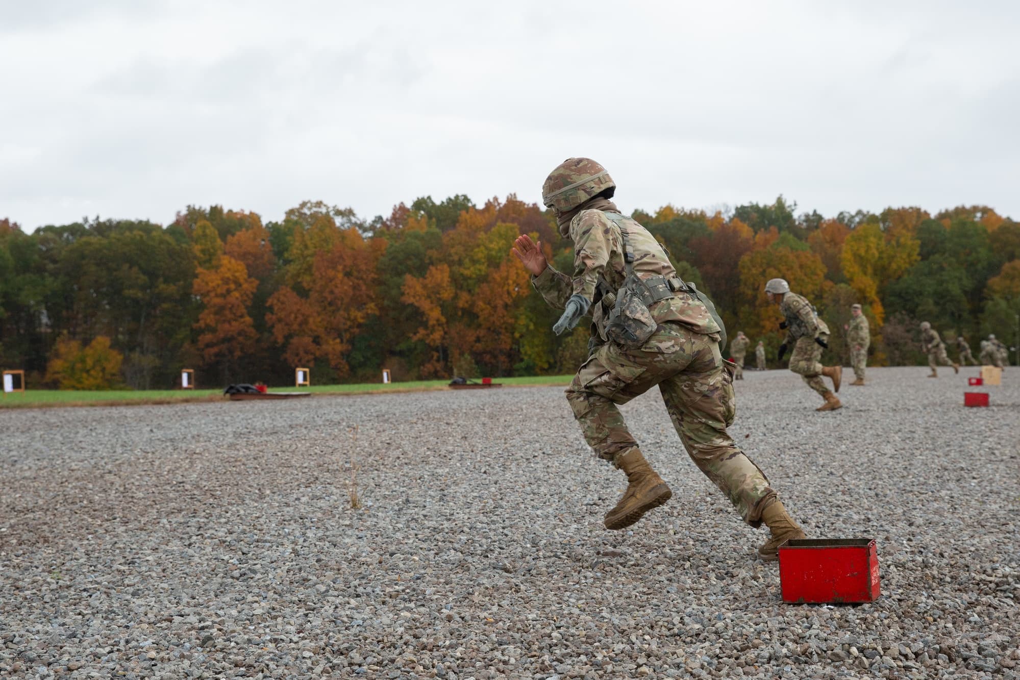 Bear Battalion (Mercer)