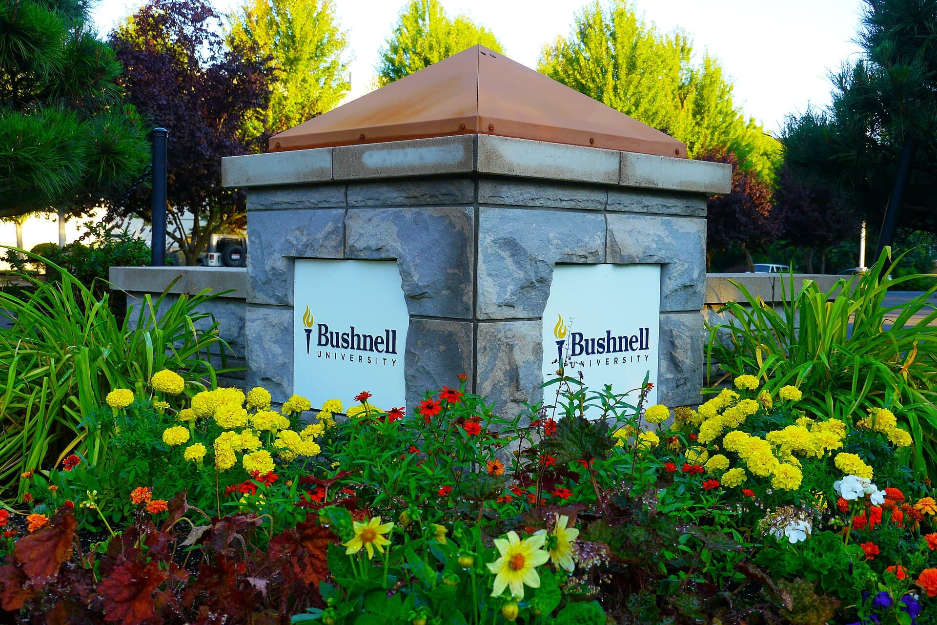 Bushnell University
