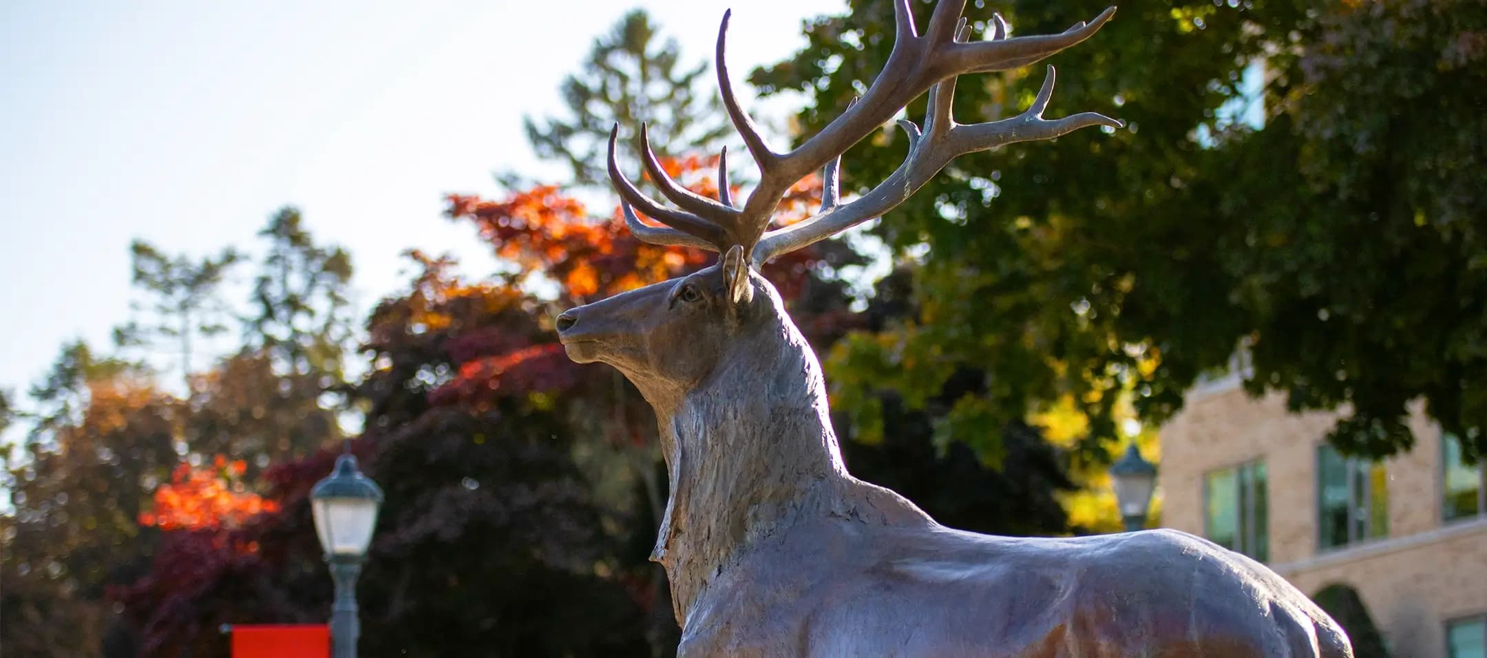 Fairfield University campus