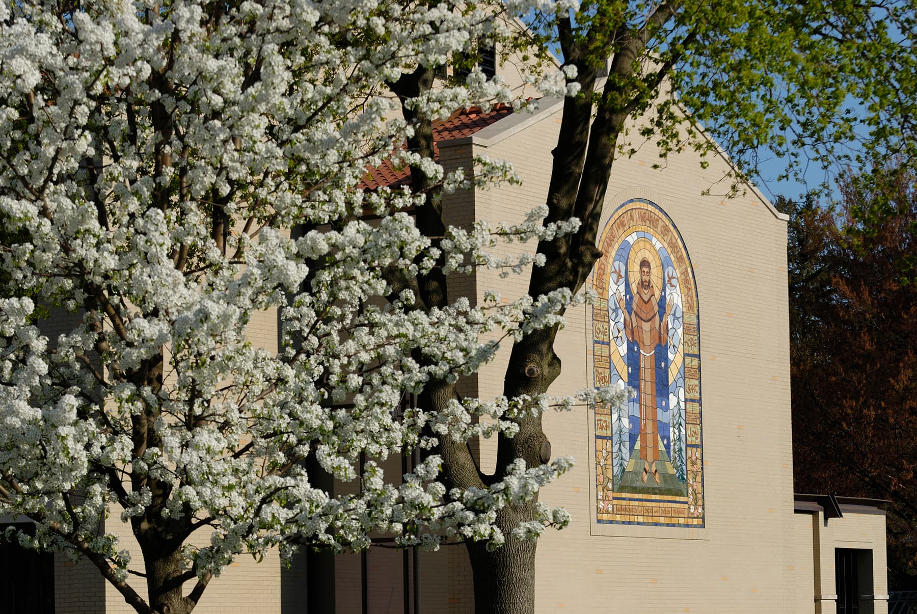 Lourdes University