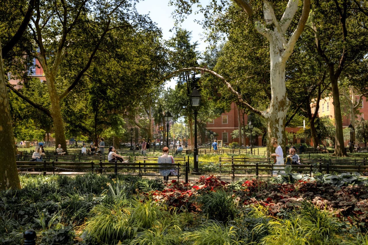 New York University