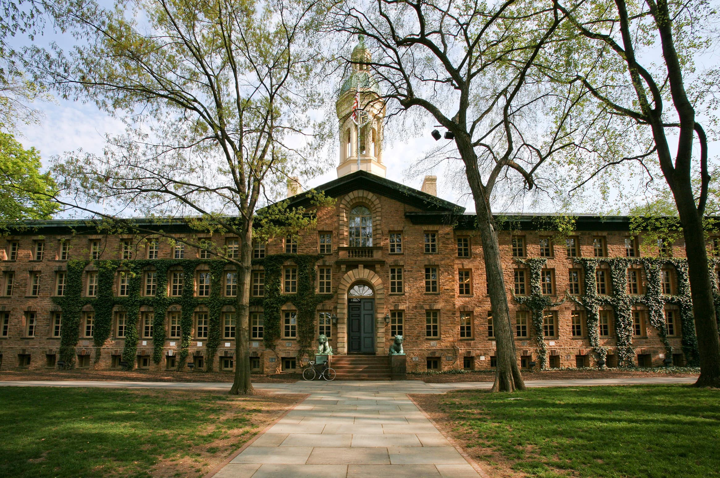 Tiger Battalion (Princeton)