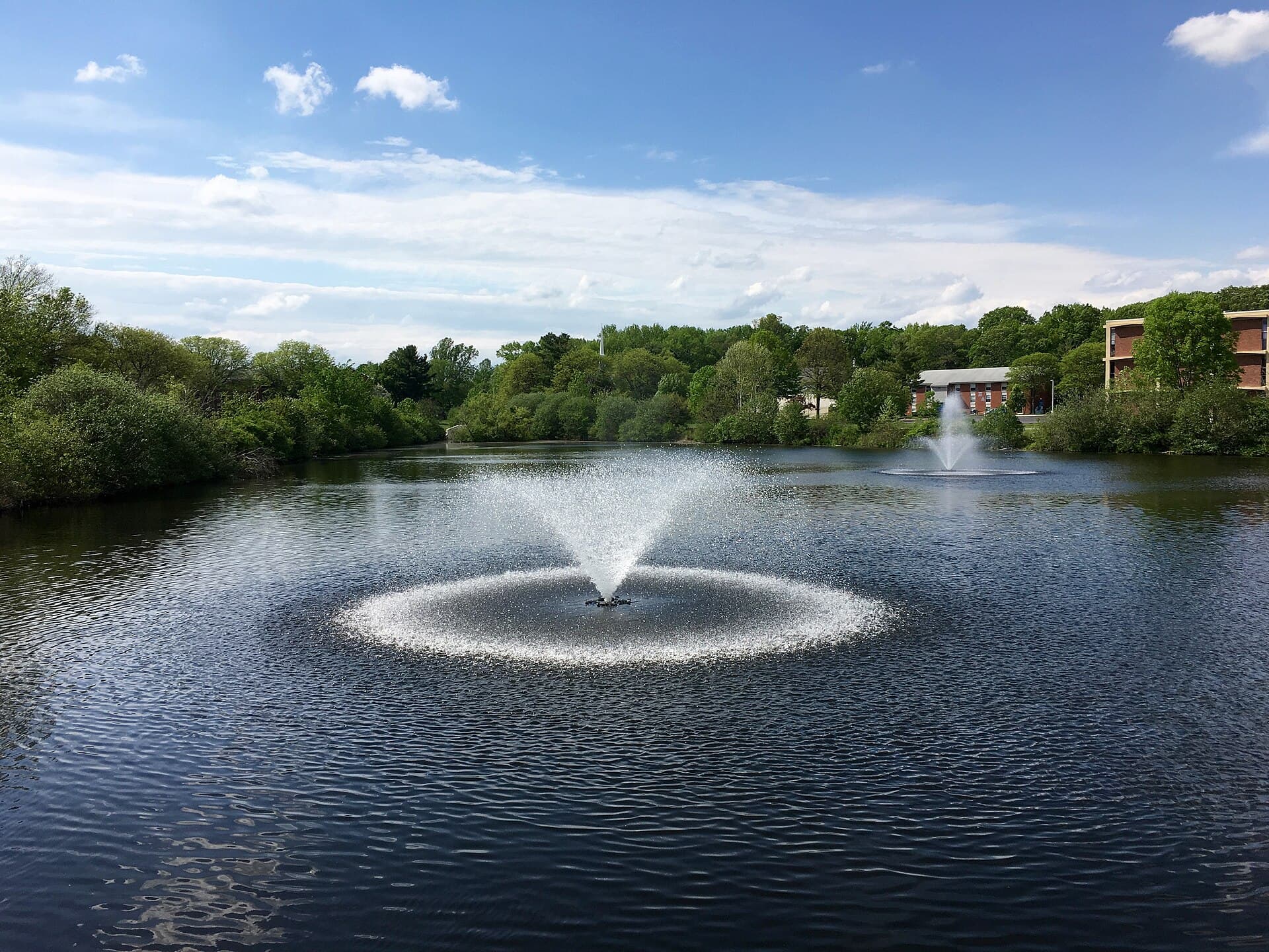 Rider University campus
