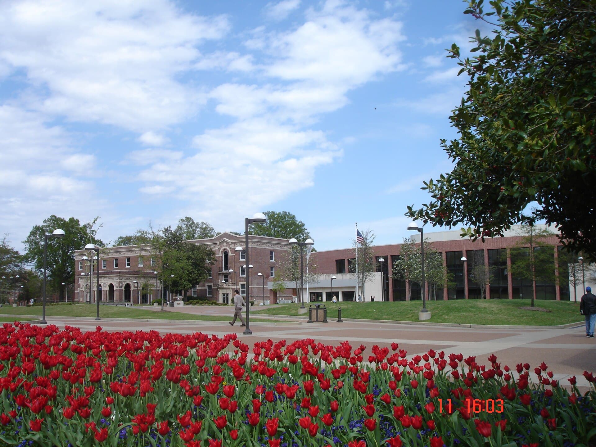 Detachment 810 University of Memphis
