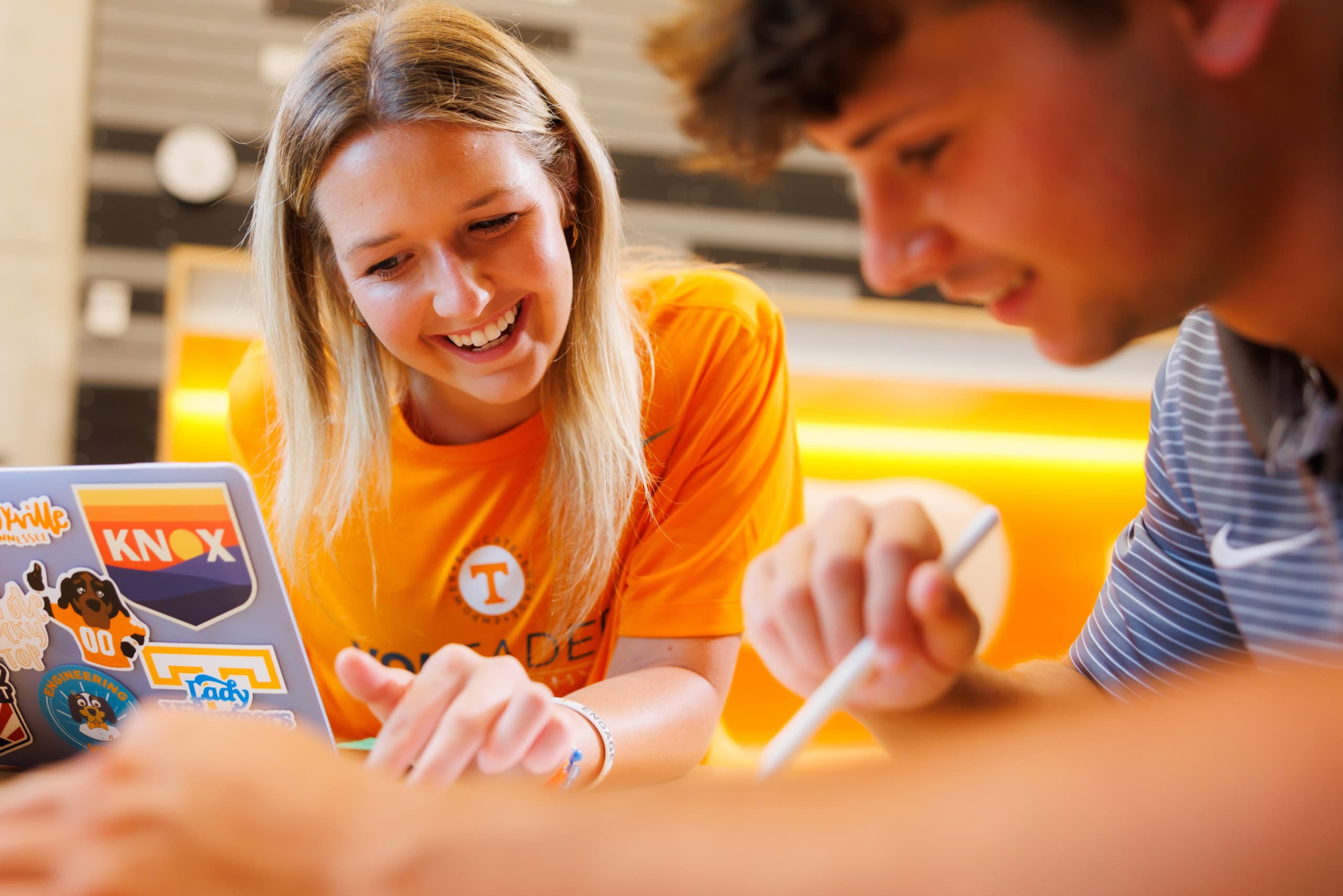 The University of Tennessee, Knoxville