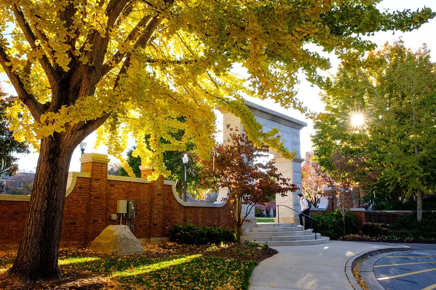 Detachment 605 Wake Forest University